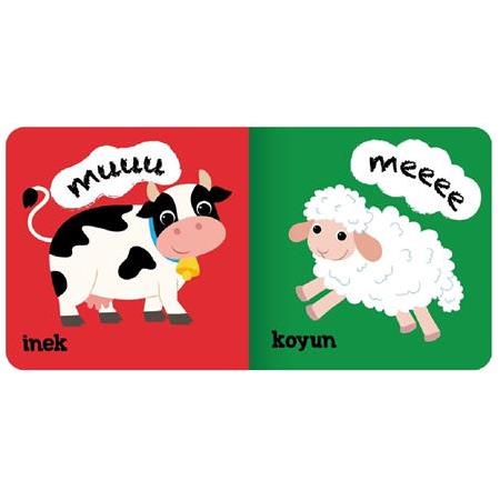 Eolo Minik Kitaplar - Hayvanlar