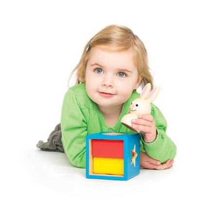 Smart Games Bunny Boo Oyunu